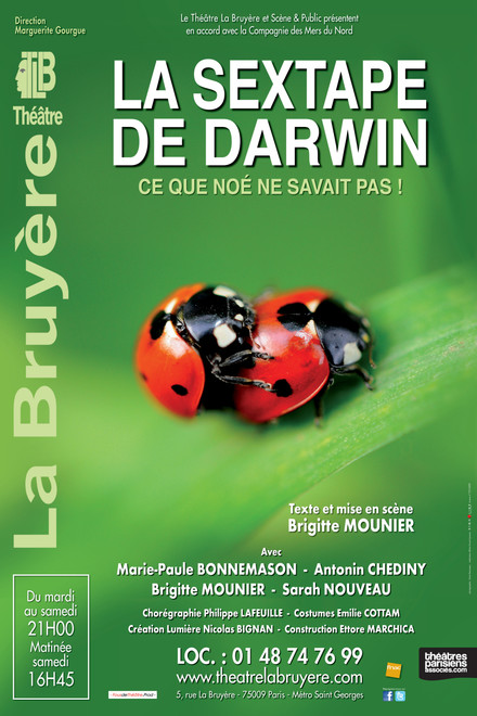 La sextape de Darwin au Théâtre Actuel La Bruyère